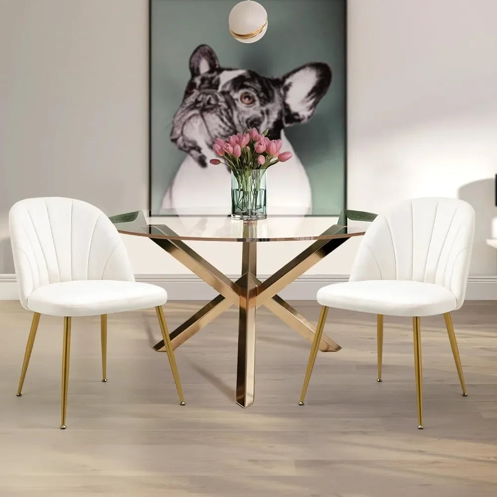 Velvet Dining Chairs Set of 4, Mid-Century Modern Upholstered Kitchen Chair with Metal Gold Legs, Elegant Accent Chairs w/Luxury