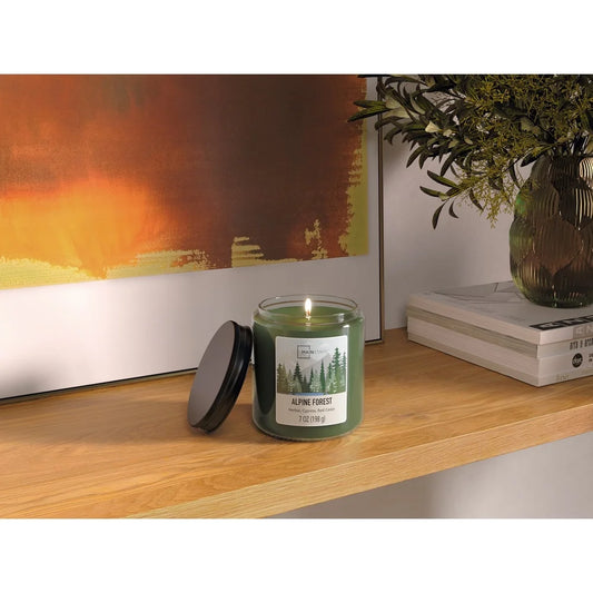 2 Pack Alpine Forest Scented Candle Glass Jar 7oz Single Wick Aromatherapy Candle Woodsy Relaxing Home Decor 100 Hours Burn Time
