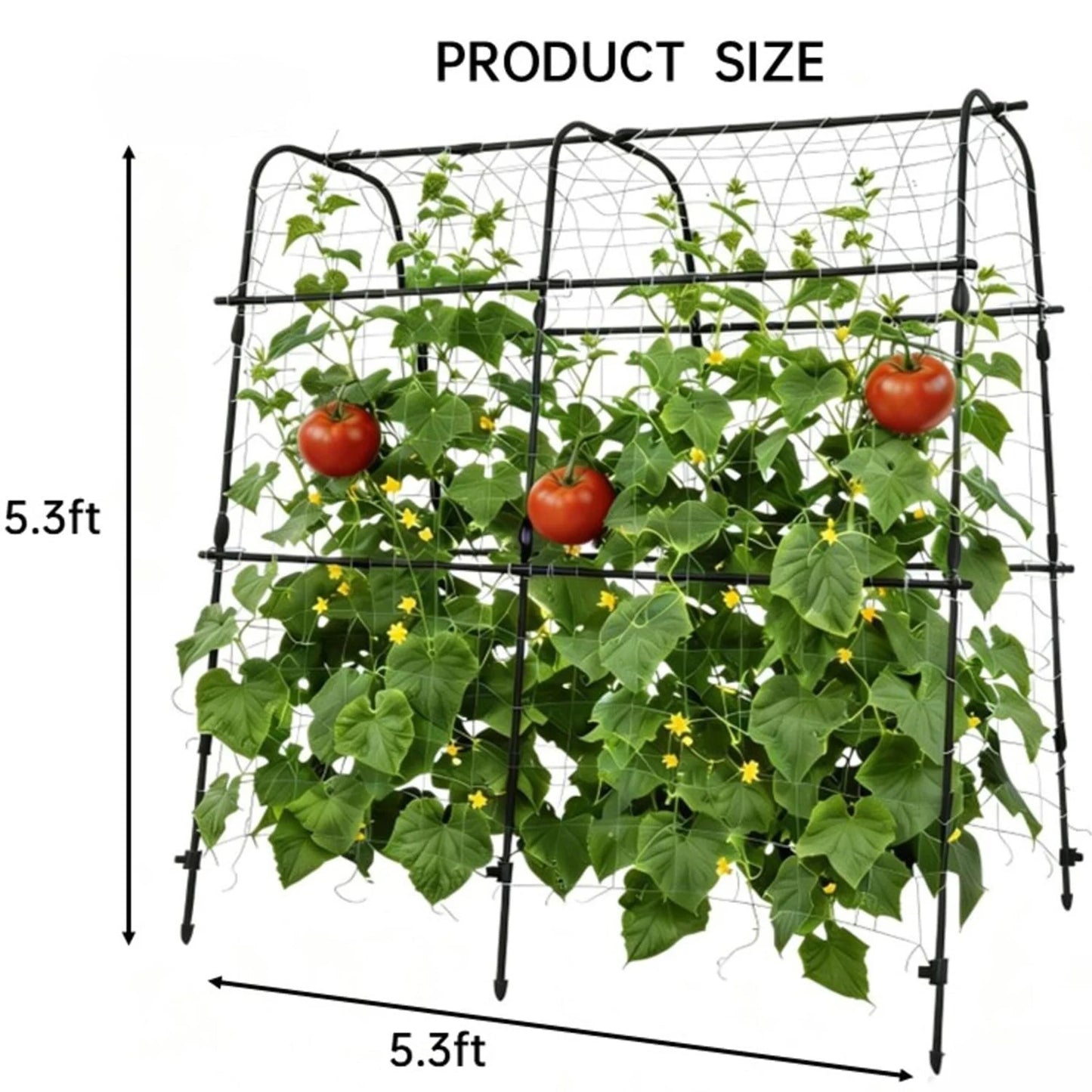 5.3x5.3 FT Garden Arch Trellis For Climbing Plants, U Shape Cucumber Melon Support For Raised Beds, Grapes Roses Vegetables
