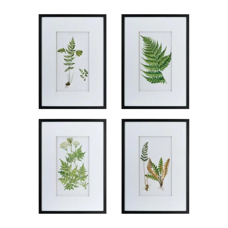 Set of 4 Black and White Botanical Fern Wall Art Prints, Stylish Wall Decor for Living Room, Dining Room, and Entryway, 20" x