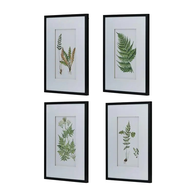 Set of 4 Black and White Botanical Fern Wall Art Prints, Stylish Wall Decor for Living Room, Dining Room, and Entryway, 20" x