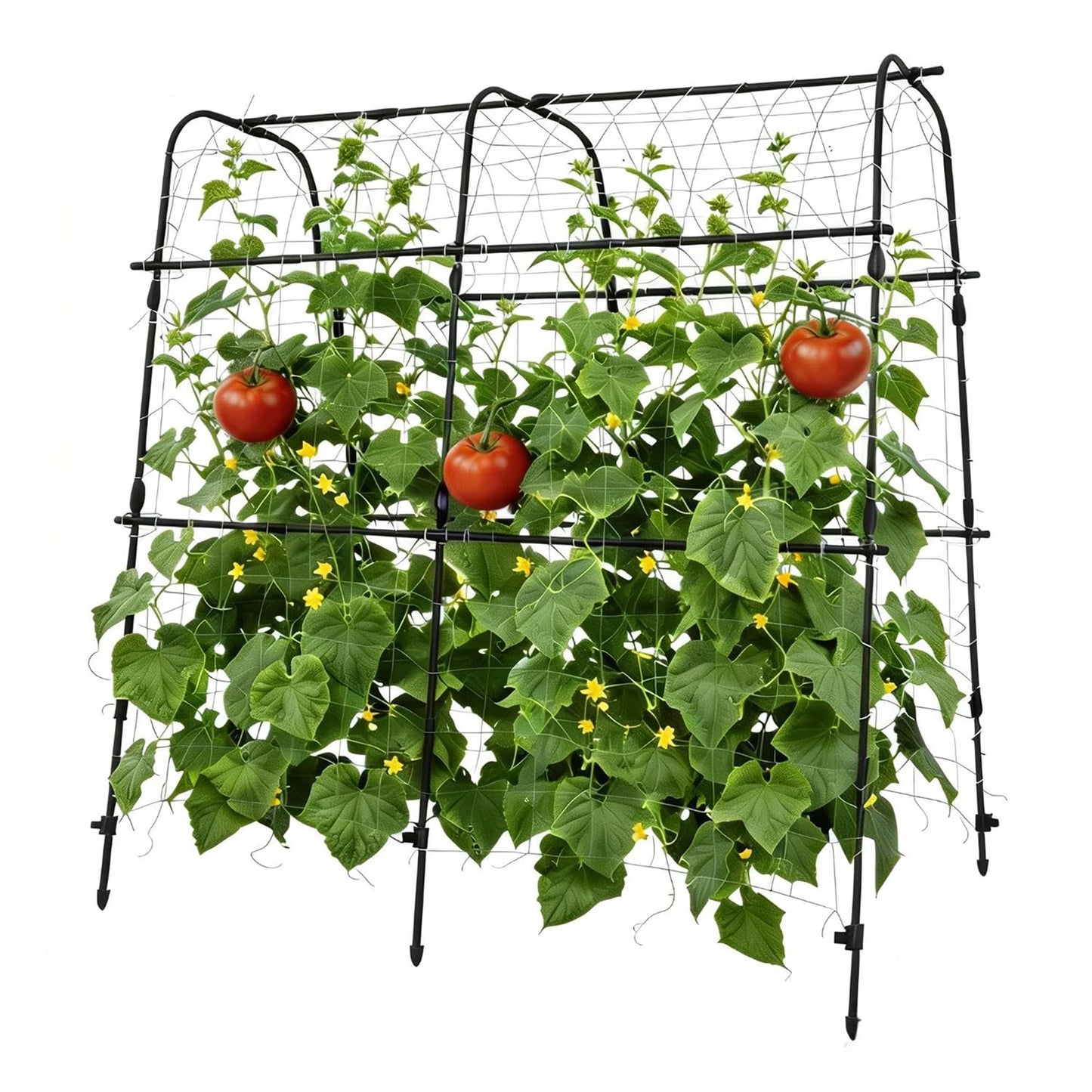 5.3x5.3 FT Garden Arch Trellis For Climbing Plants, U Shape Cucumber Melon Support For Raised Beds, Grapes Roses Vegetables