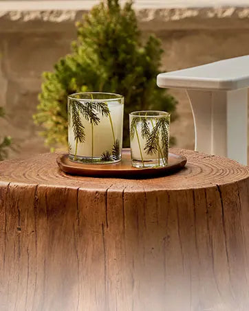 Heritage Pine Needle Candle - Scented Candle - Luxury Home Fragrance - Home Decor & Bathroom Accessories - Frasier Fir Pine Scent - 11.5 Oz - Frasier Fir